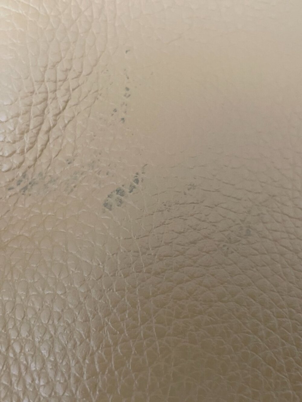 Cuyana Classic Easy Tote - Picture 11 of 11